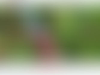 Homem é encontrado sem pênis e coração; idosa confessa crime e diz que comeu órgãos