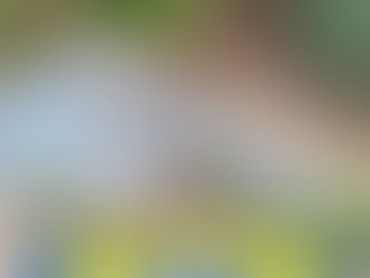 Abandono que adoece: