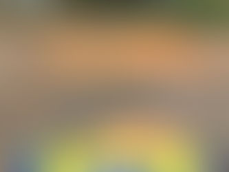 Alameda do Rio ou Alameda dos Buracos? Zona Rural de Camaçari - Bahia 12