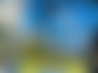 🍷 DA PESQUISA AO RÓTULO: