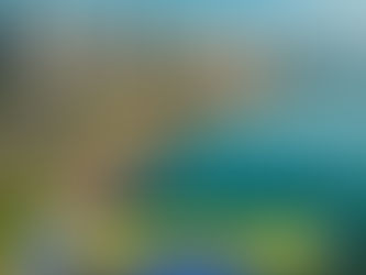 🌿 ITAJAÍ: ONDE O PROGRESSO RESPEITA A NATUREZA E A QUALIDADE DE VIDA FLORESCE 🌊