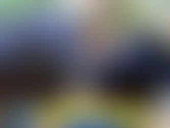 🚨 ADOLESCENTE RESGATADA EM CANIL EM ALAGOAS QUESTIONA VERSÃO POLICIAL: