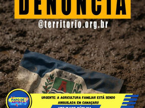 URGENTE: A AGRICULTURA FAMILIAR ESTÁ SENDO ANIQUILADA EM CAMAÇARI!