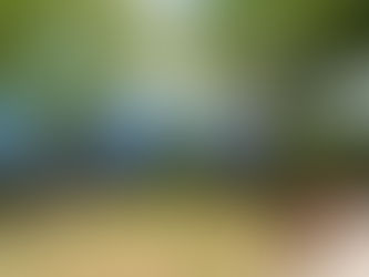 Sedur realiza ação educativa em alusão ao Dia das Florestas e da Água