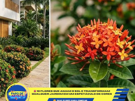 🌺 10 FLORES QUE AMAM O SOL