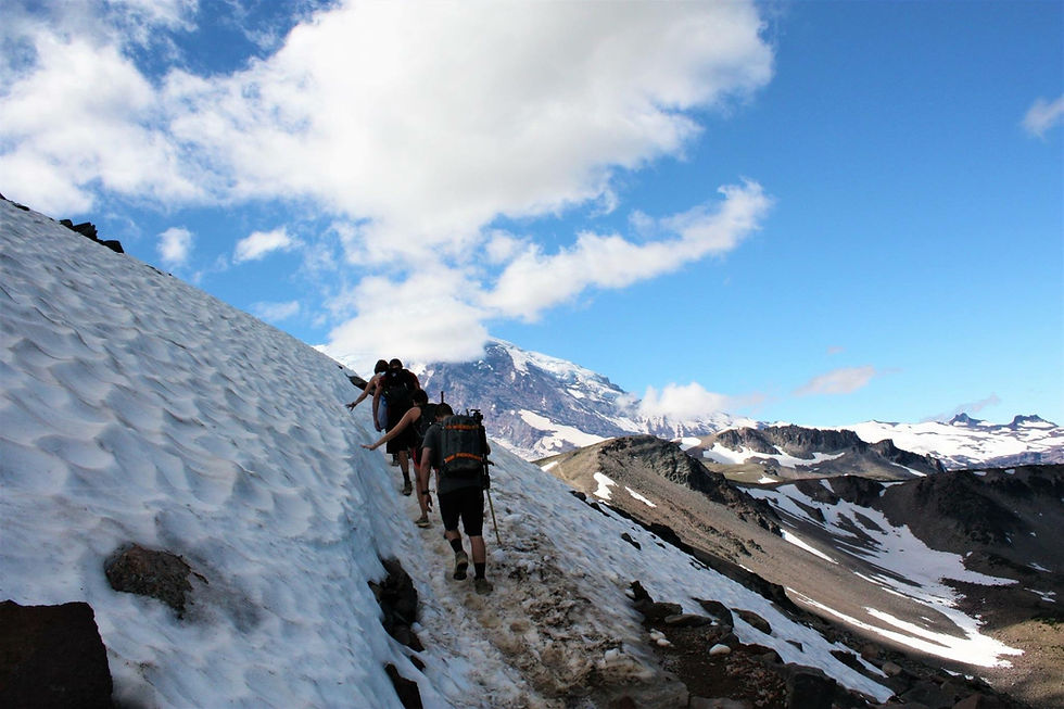 Mt Rainier National Park, Washington State