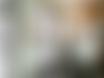 療癒之旅:身心的柔軟與回歸