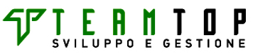 teamtop_logo.png