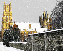 #55 Ely Cathedral from the Gallery