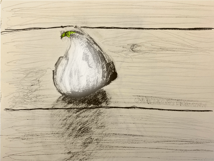 garlic2