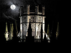 #11 Full Moon Over the Octagon
