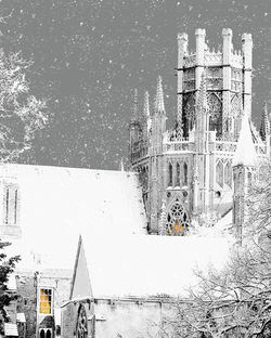 #12 Ely Octagon in Snow