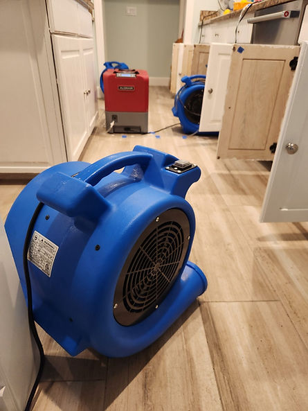 Mold Remediation - Lena Lee (18) (1_1 - Web Standard (hero_gallery)).jpg