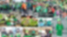 shamrock 2.jpg