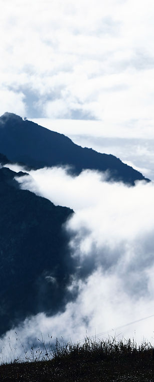 Mountain Biking in the Fog