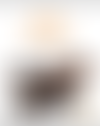 'The Grand Piano', from De Doelen Magazine