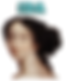 IDA tool