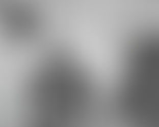 Al Davis' First Season