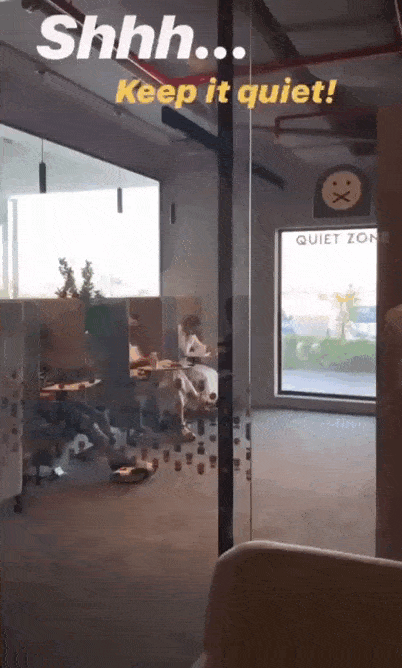WhatsApp-Video-2022-04-05-at-11.30.15-PM.gif