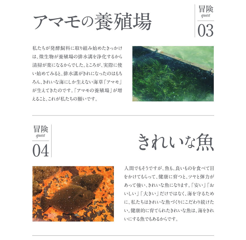 kawachisuisan_LP_04_quest03-04.jpg