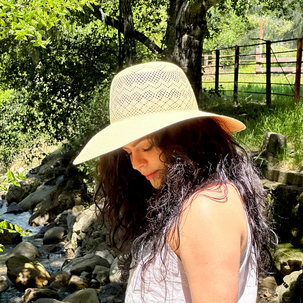 Borsalino Hats The Brisa Panama Vented Crown side view