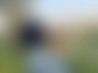 Discover Bali: Customized Travel Experiences Await You