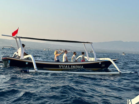 Travel Smart: Visa Tips and Rentals for Bali Trips