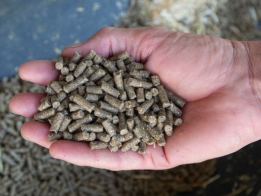 Screening Pellets in Cattle Rations