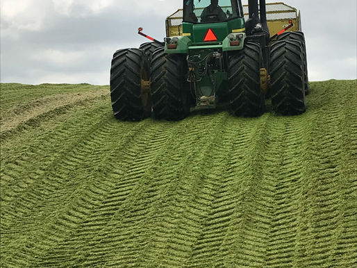 Reducing Weed Seed Viability