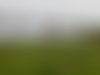 Quantifying Silage Losses