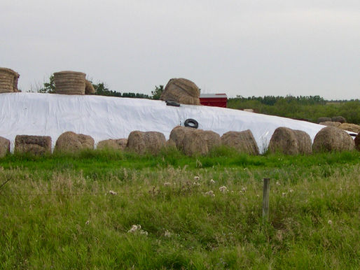 Quantifying Silage Losses