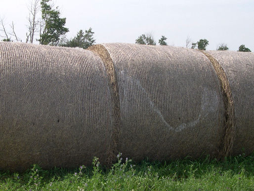 Net Wrapped Bales Can Create Health Problems