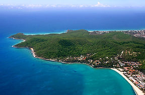 bed and breakfast noosa, homestay noosa, Adeles Homestay noosa heads