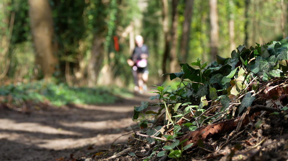 Capture d'écran coureur tdcg