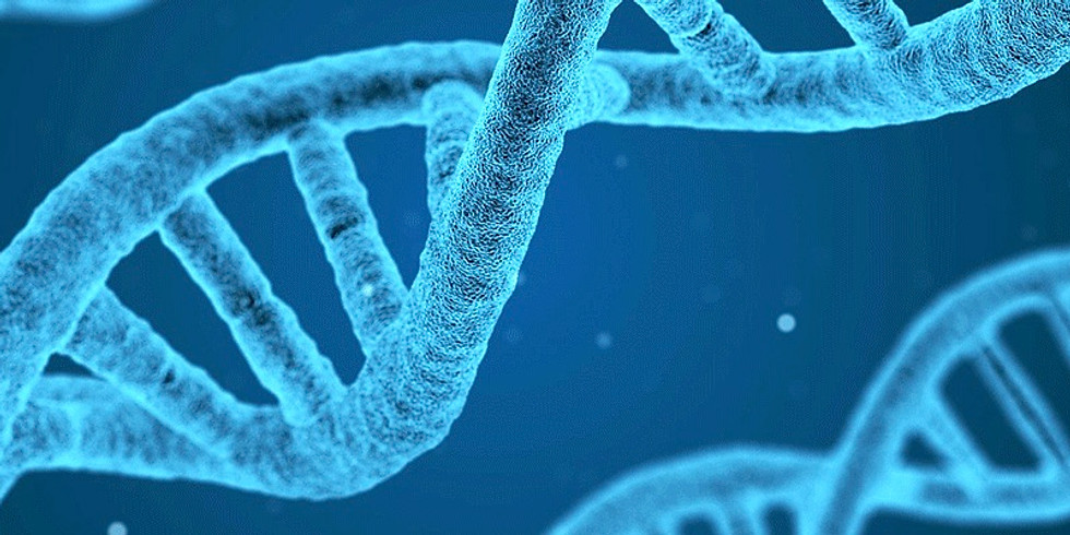 Biology - Step up Programme