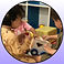 Daycare - Toddlers (term)