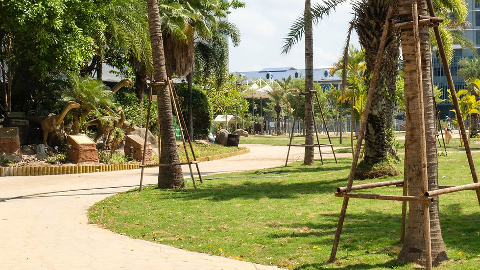 Coconut Park III