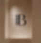 Balancia-accounting-regnskap-7.png
