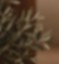 Balancia-accounting-regnskap-10.png