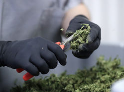 House punts marijuana vote