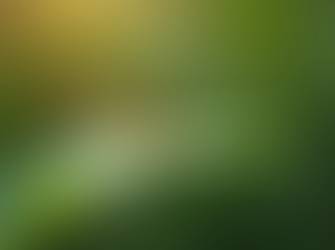 Start the New Year with Balance and Positivity