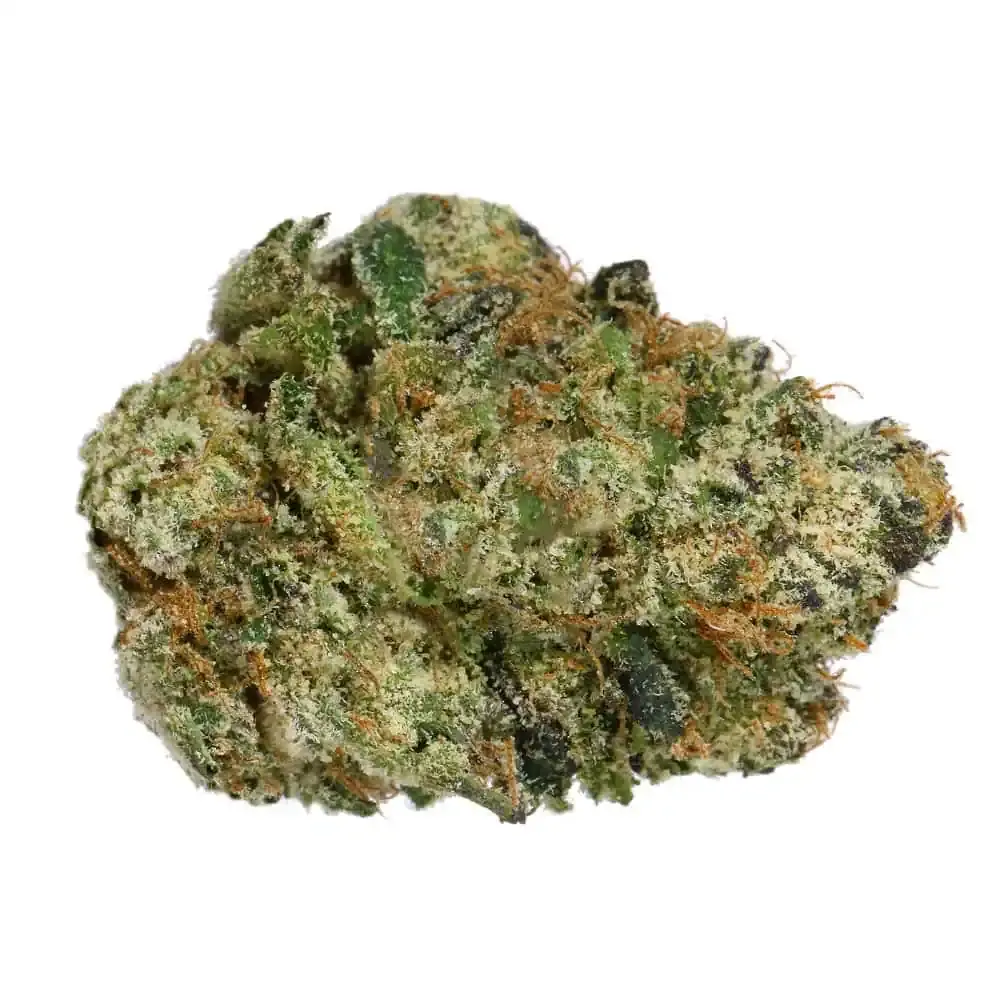 Gelato 45 THCa Flower