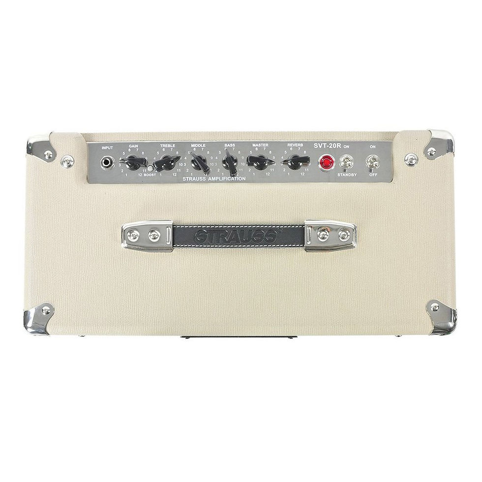 Thumbnail: STRAUSS SVT-20R 20 WATT COMBO VALVE AMPLIFIER CREAM