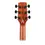 Thumbnail: TIMBERIDGE '4 SERIES' CEDAR SOLID TOP ACOUSTIC-ELEC DREADNOUGHT CUTAWAY GUITAR
