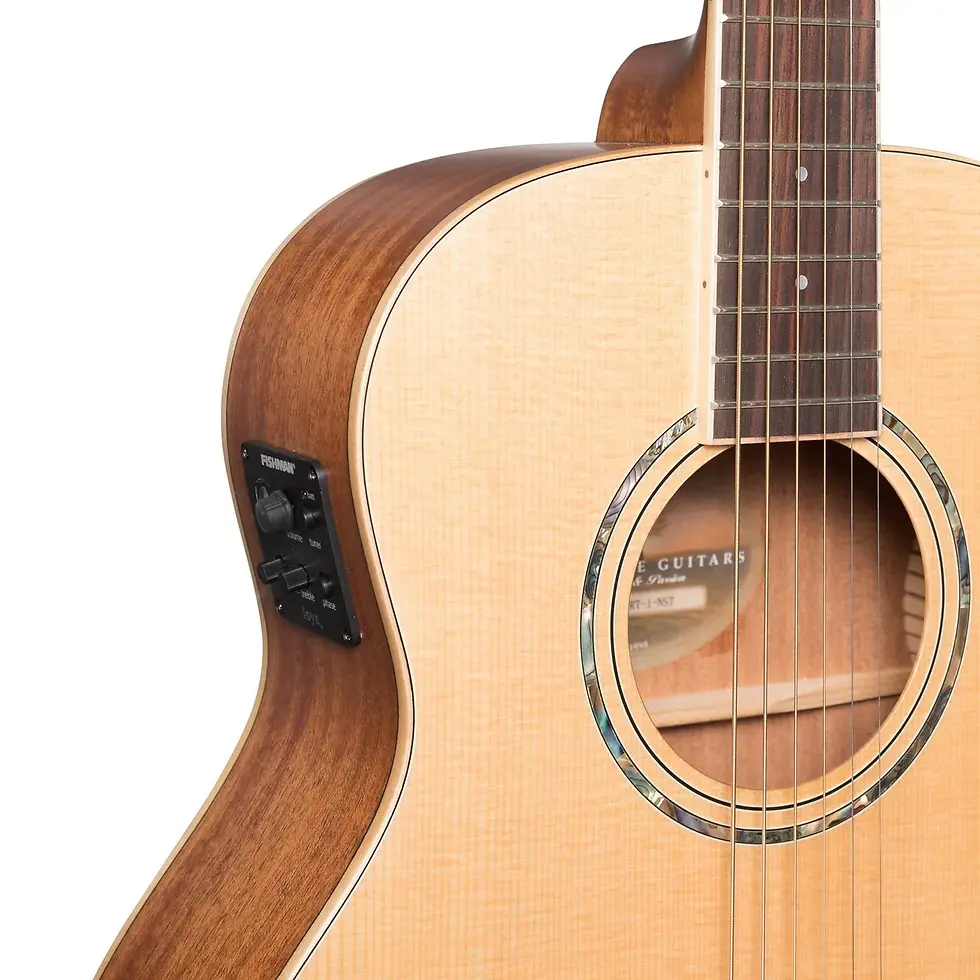 Thumbnail: TIMBERIDGE 1 SERIES SOLID SPRUCE TOP ACOUST-ELEC TS-MINI GUITAR NATURAL SATIN