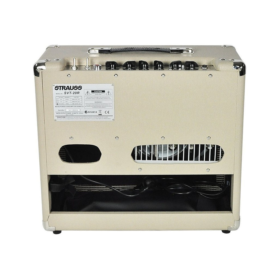 Thumbnail: STRAUSS SVT-20R 20 WATT COMBO VALVE AMPLIFIER CREAM