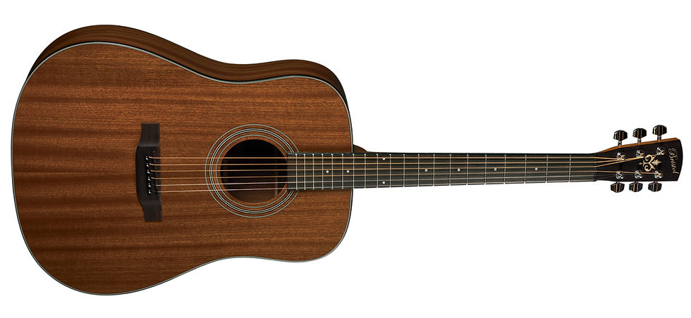 BRISTOL BY BLUERIDGE BD-15S SOLID TOP ALL MAHOGANY DREADNOUGHT ACOUSTIC GUITAR