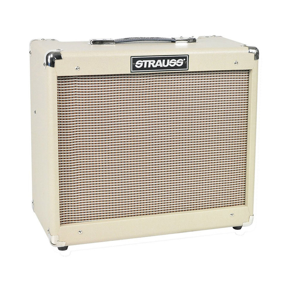 Thumbnail: STRAUSS SVT-20R 20 WATT COMBO VALVE AMPLIFIER CREAM