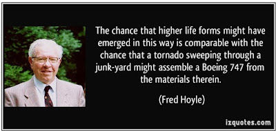 Slika 3. Matematičar Fred Hoyle je ispitivao mogućnost nastanka života slučajnim događajem, kako to opisuje današnja nauka. On je načinio analogiju sa pokušajem slepog čoveka da ređa Rubikovu kocku (9 raznobojnih kockica na svakoj strani). Izračunao je da bi mu trebalo 5 x 10¹⁸ pokušaja. Ako bi svaki pokret trajao sekundu, trebalo bi mu 126 milijardi godina da dođe do rešenja. Zamislite koliko bi vremena trebalo da se slučajno složi 3,1 milijardi nukleotida u pravilan sled.