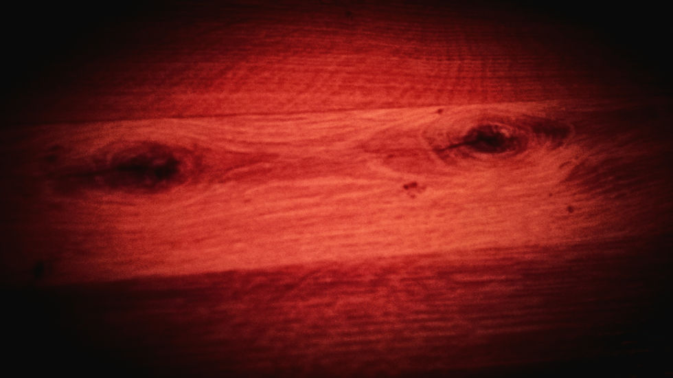 Rocío Marín Rodríguez